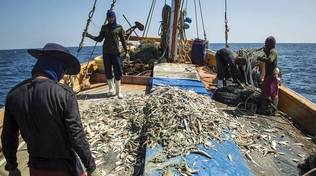 KTVU Coverage of Prawn Slave Labor Lawsuit