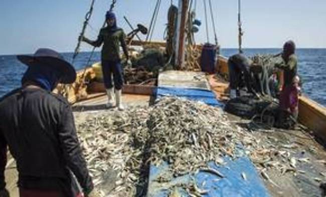 KTVU Coverage of Prawn Slave Labor Lawsuit