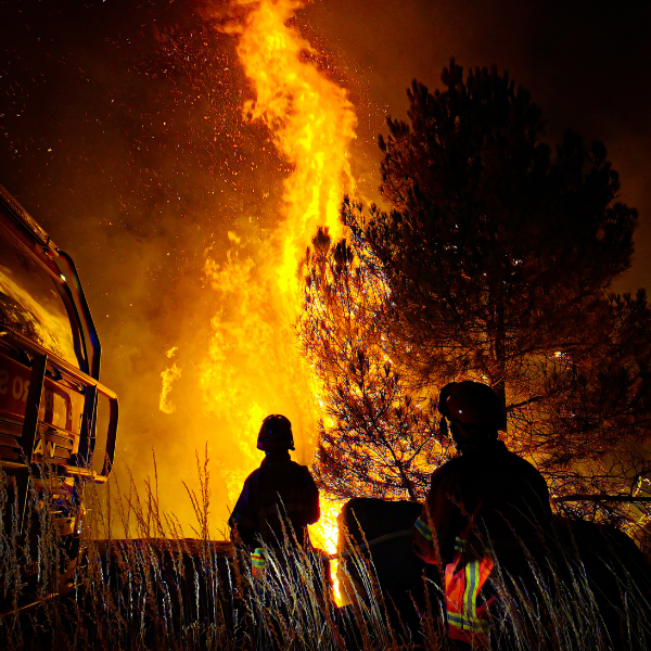 7 Key Questions to Ask a Wildfire Attorney Before Hiring Them